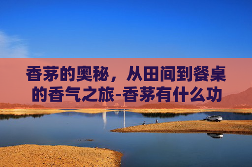 香茅的奥秘，从田间到餐桌的香气之旅-香茅有什么功效