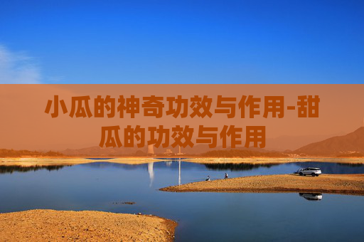 小瓜的神奇功效与作用-甜瓜的功效与作用