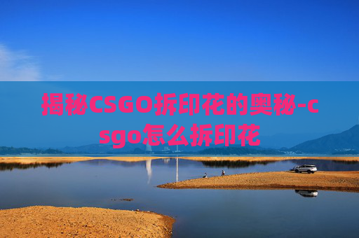 揭秘CSGO拆印花的奥秘-csgo怎么拆印花