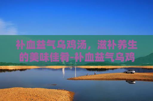 补血益气乌鸡汤，滋补养生的美味佳肴-补血益气乌鸡汤配料