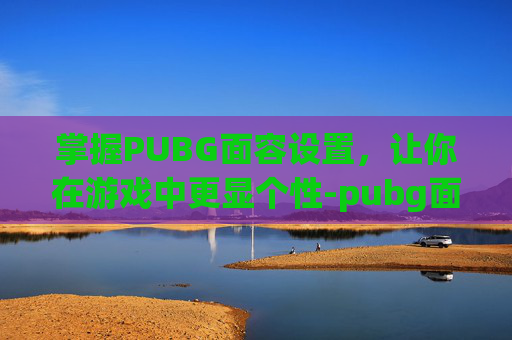 掌握PUBG面容设置，让你在游戏中更显个性-pubg面容怎么获得