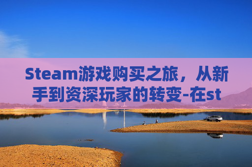 Steam游戏购买之旅，从新手到资深玩家的转变-在steam买的游戏不见了