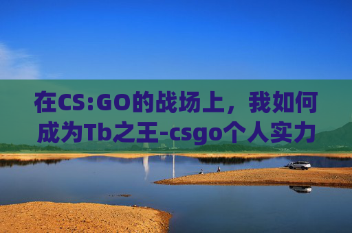 在CS:GO的战场上，我如何成为Tb之王-csgo个人实力排名