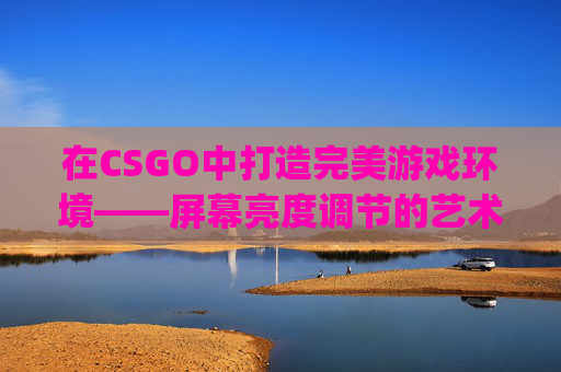 在CSGO中打造完美游戏环境——屏幕亮度调节的艺术-csgo屏幕闪烁