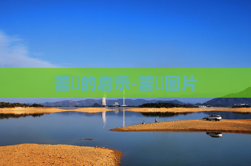苦蘵的启示-苦蘵图片