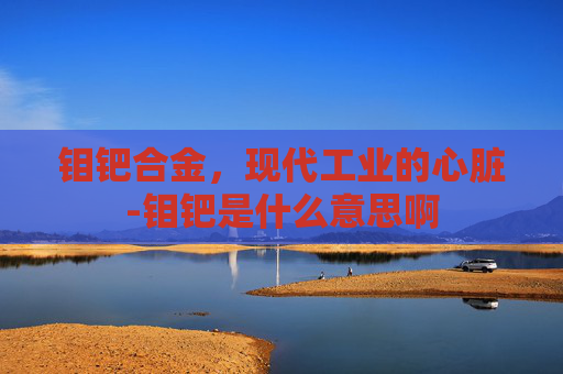 钼钯合金，现代工业的心脏-钼钯是什么意思啊