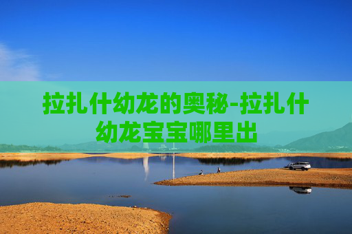 拉扎什幼龙的奥秘-拉扎什幼龙宝宝哪里出