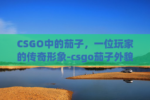 CSGO中的茄子，一位玩家的传奇形象-csgo茄子外貌进化史