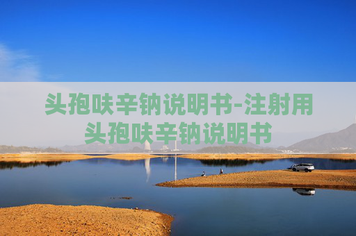 头孢呋辛钠说明书-注射用头孢呋辛钠说明书
