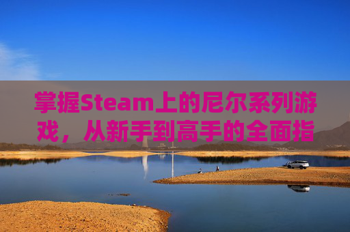 掌握Steam上的尼尔系列游戏，从新手到高手的全面指南-尼尔steamdlc怎么用