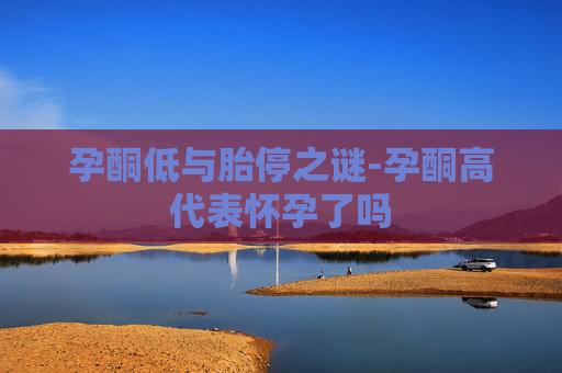 孕酮低与胎停之谜-孕酮高代表怀孕了吗