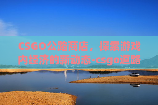 CSGO公路商店，探索游戏内经济的新动态-csgo道路教学