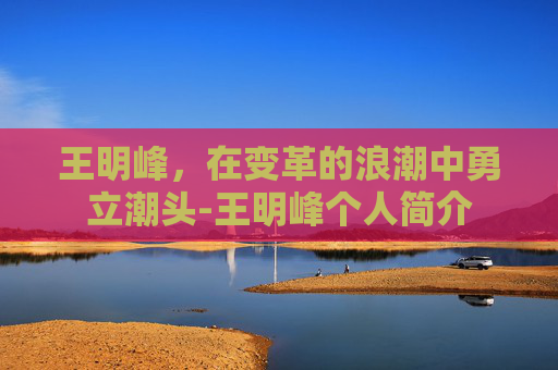 王明峰，在变革的浪潮中勇立潮头-王明峰个人简介