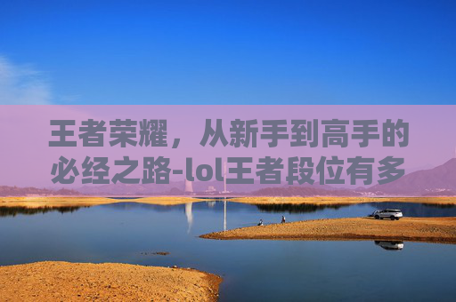 王者荣耀，从新手到高手的必经之路-lol王者段位有多少人