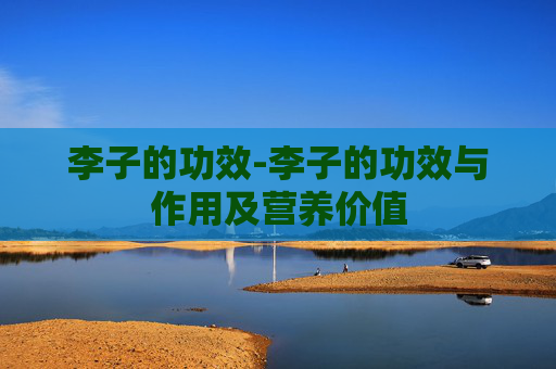 李子的功效-李子的功效与作用及营养价值