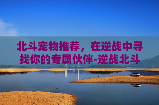 北斗宠物推荐，在逆战中寻找你的专属伙伴-逆战北斗宠物推荐最新