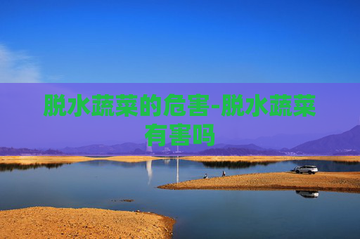 脱水蔬菜的危害-脱水蔬菜有害吗