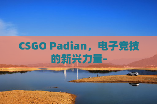 CSGO Padian，电子竞技的新兴力量-