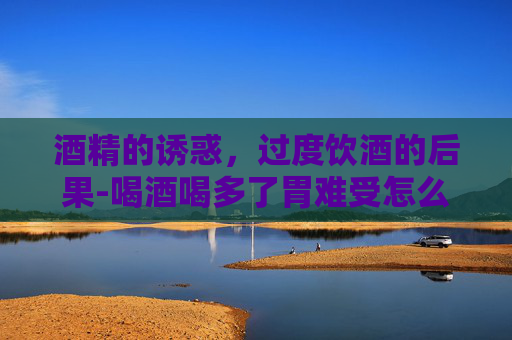 酒精的诱惑，过度饮酒的后果-喝酒喝多了胃难受怎么办