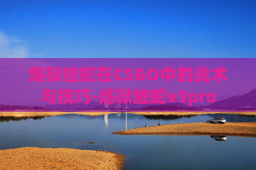 炼狱蝰蛇在CSGO中的战术与技巧-炼狱蝰蛇v3pro