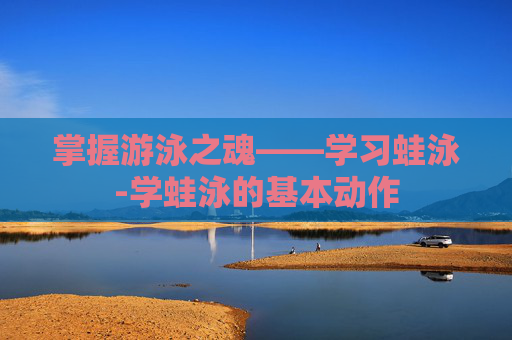 掌握游泳之魂——学习蛙泳-学蛙泳的基本动作