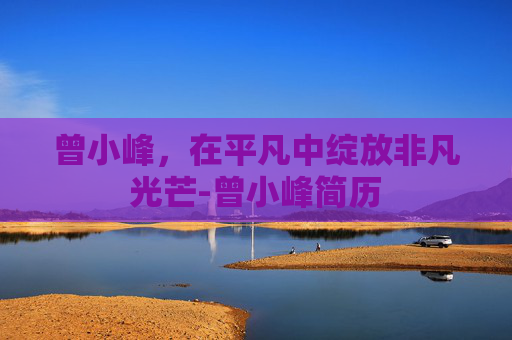 曾小峰，在平凡中绽放非凡光芒-曾小峰简历