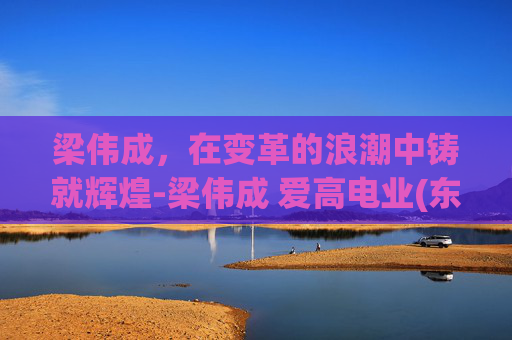 梁伟成，在变革的浪潮中铸就辉煌-梁伟成 爱高电业(东莞)有限公司