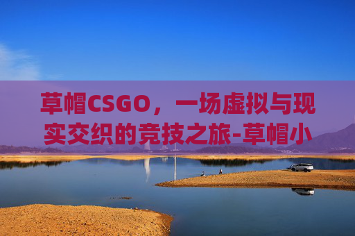 草帽CSGO，一场虚拟与现实交织的竞技之旅-草帽小子vlog
