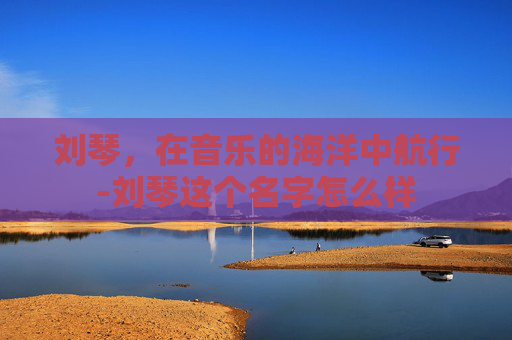 刘琴，在音乐的海洋中航行-刘琴这个名字怎么样