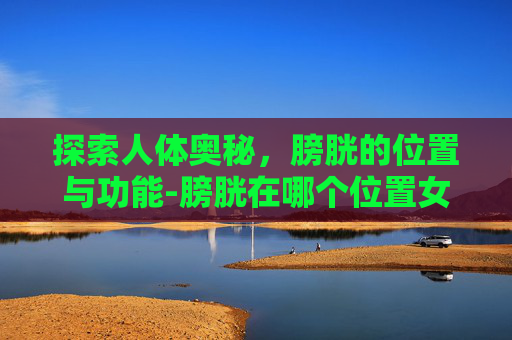 探索人体奥秘，膀胱的位置与功能-膀胱在哪个位置女性