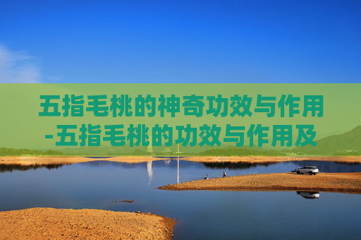 五指毛桃的神奇功效与作用-五指毛桃的功效与作用及食用方法