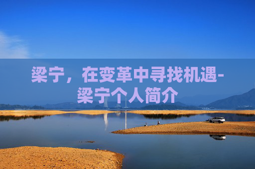 梁宁，在变革中寻找机遇-梁宁个人简介