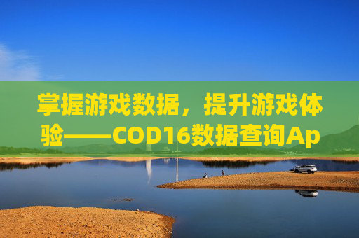 掌握游戏数据，提升游戏体验——COD16数据查询App-cod16数据查询