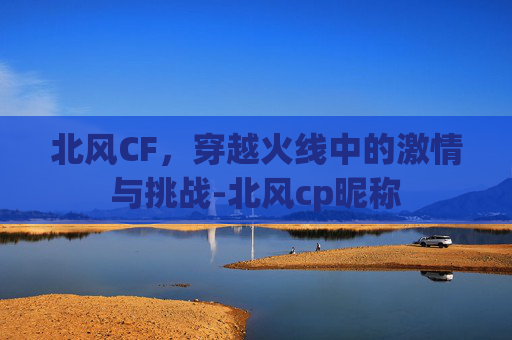 北风CF，穿越火线中的激情与挑战-北风cp昵称