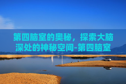 第四脑室的奥秘，探索大脑深处的神秘空间-第四脑室解剖图