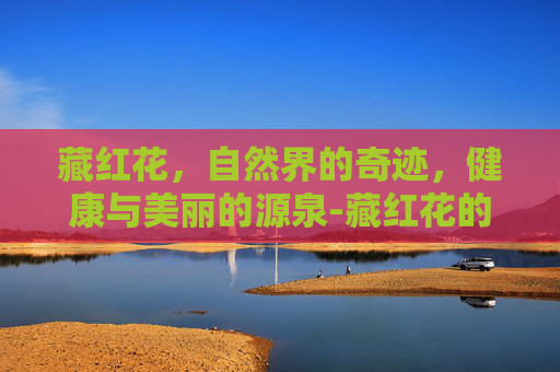 藏红花，自然界的奇迹，健康与美丽的源泉-藏红花的功效和作用主治什么病