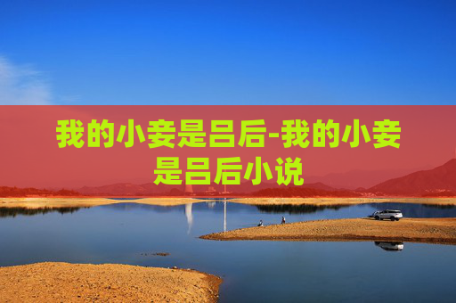 我的小妾是吕后-我的小妾是吕后小说
