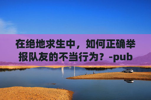 在绝地求生中，如何正确举报队友的不当行为？-pubg举报队友什么按键