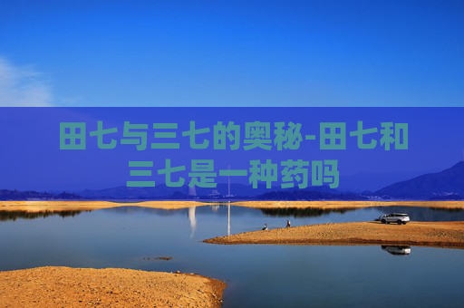 田七与三七的奥秘-田七和三七是一种药吗
