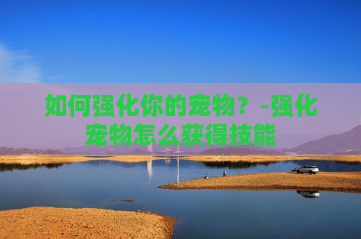 如何强化你的宠物？-强化宠物怎么获得技能