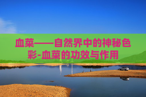 血菜——自然界中的神秘色彩-血菜的功效与作用