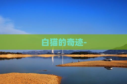 白猫的奇迹-