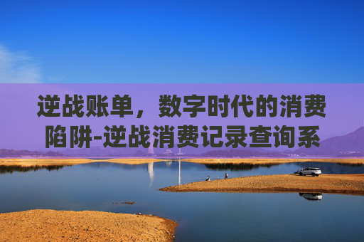 逆战账单，数字时代的消费陷阱-逆战消费记录查询系统