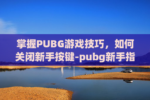 掌握PUBG游戏技巧，如何关闭新手按键-pubg新手指南按键怎么关