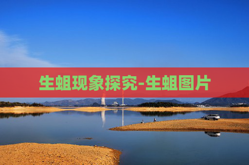 生蛆现象探究-生蛆图片