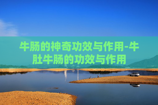牛肠的神奇功效与作用-牛肚牛肠的功效与作用