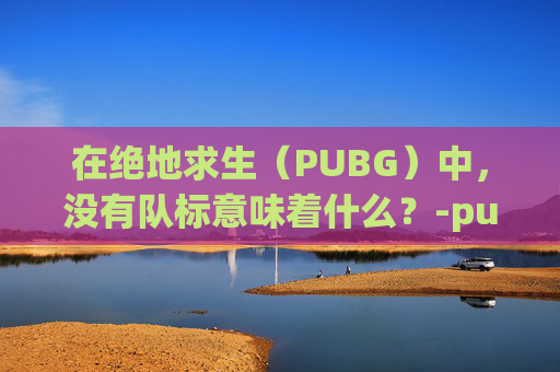 在绝地求生（PUBG）中，没有队标意味着什么？-pubg看不到队友队标