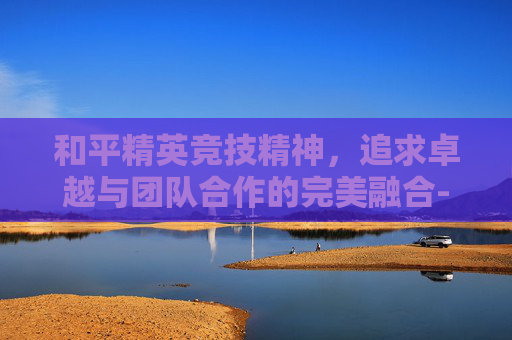 和平精英竞技精神，追求卓越与团队合作的完美融合-和平精英竞技精神有哪些