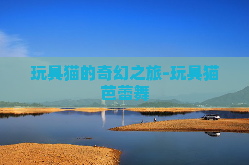 玩具猫的奇幻之旅-玩具猫芭蕾舞