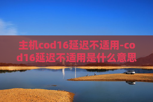 主机cod16延迟不适用-cod16延迟不适用是什么意思